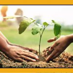 ارتباط-با-نعمت-ها